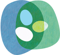 Nesting After Divorce - Book Graphic